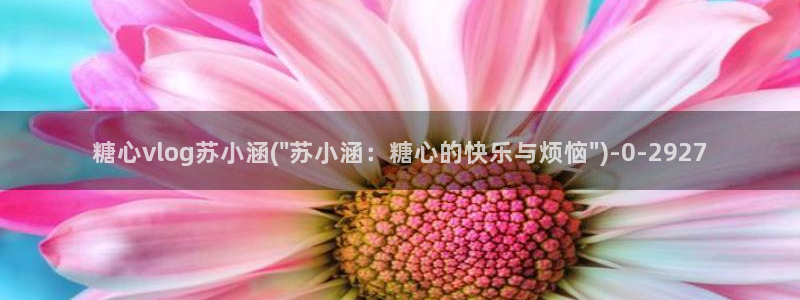 糖心vlog免费网站
