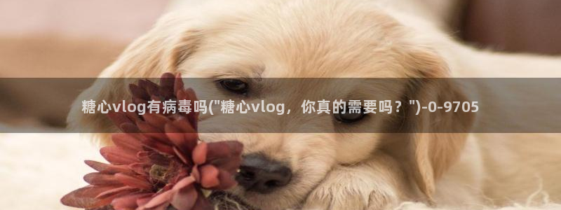 糖心vlog糖糖