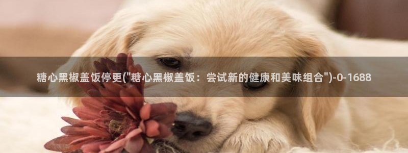 糖心vlog中国区：糖心黑椒盖饭停更(\