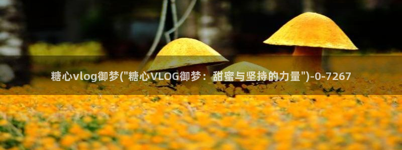 糖心vlog入囗：糖心vlog御梦(\