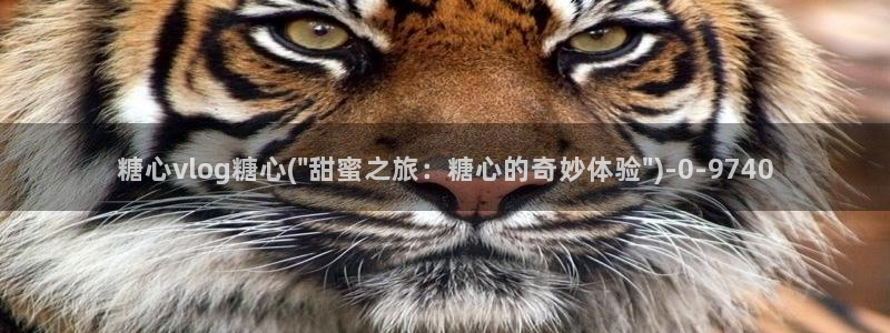 糖心vlog高清免费