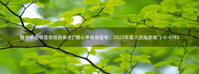 麻酥酥糖心vlog