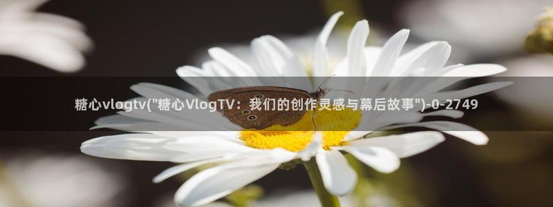 桥本香菜糖心vlog