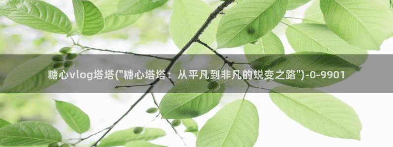 糖心vlog破解版免费版苹果