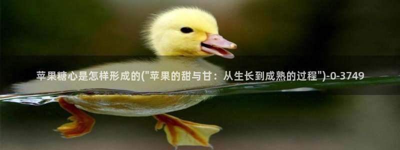 糖心vlog官网免费版