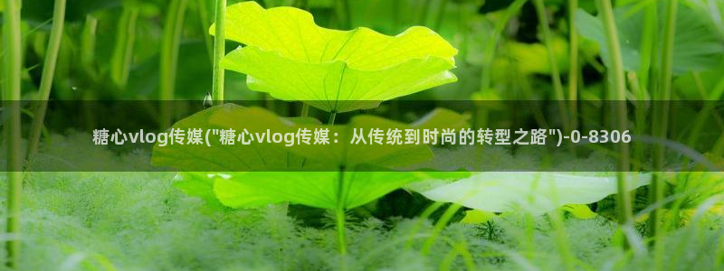 糖心vlog是哪里的